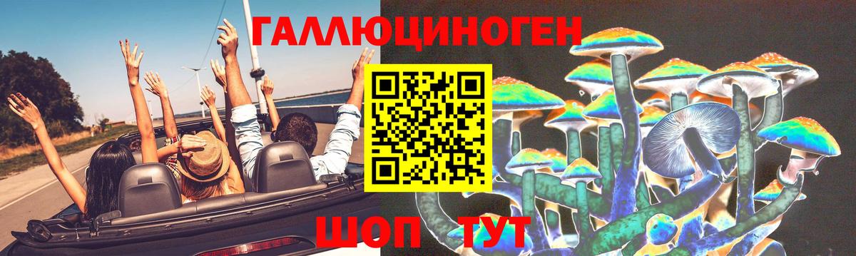 Псилоцибиновые грибы прущие грибы  Вход с VPN  хочу   Псилоцибиновые грибы прущие грибы  Лиски 